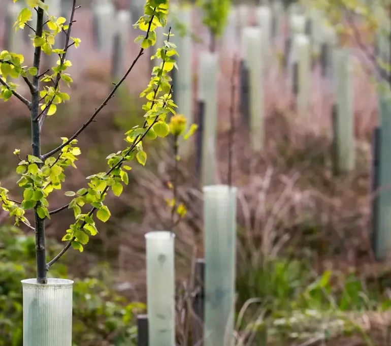 <p>Nature Units</p> - What We Do