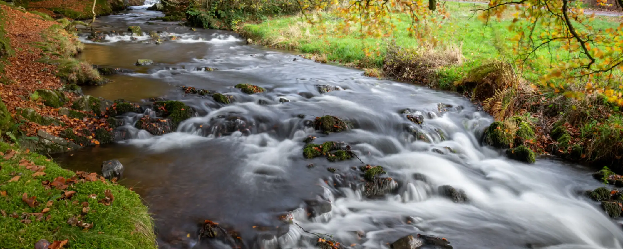 ESG & Natural Capital Services